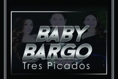 baby-bargo-724x1024